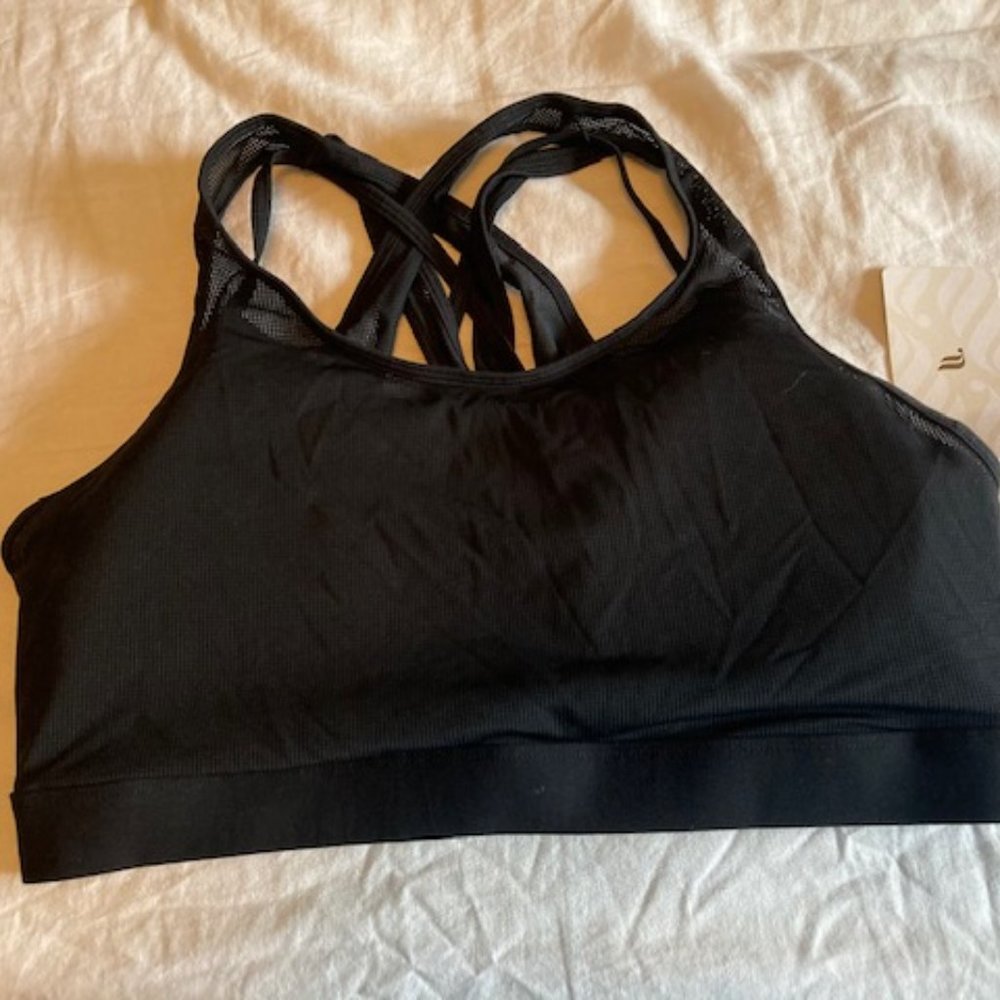 Faye High Impact Sports Bra - 2X